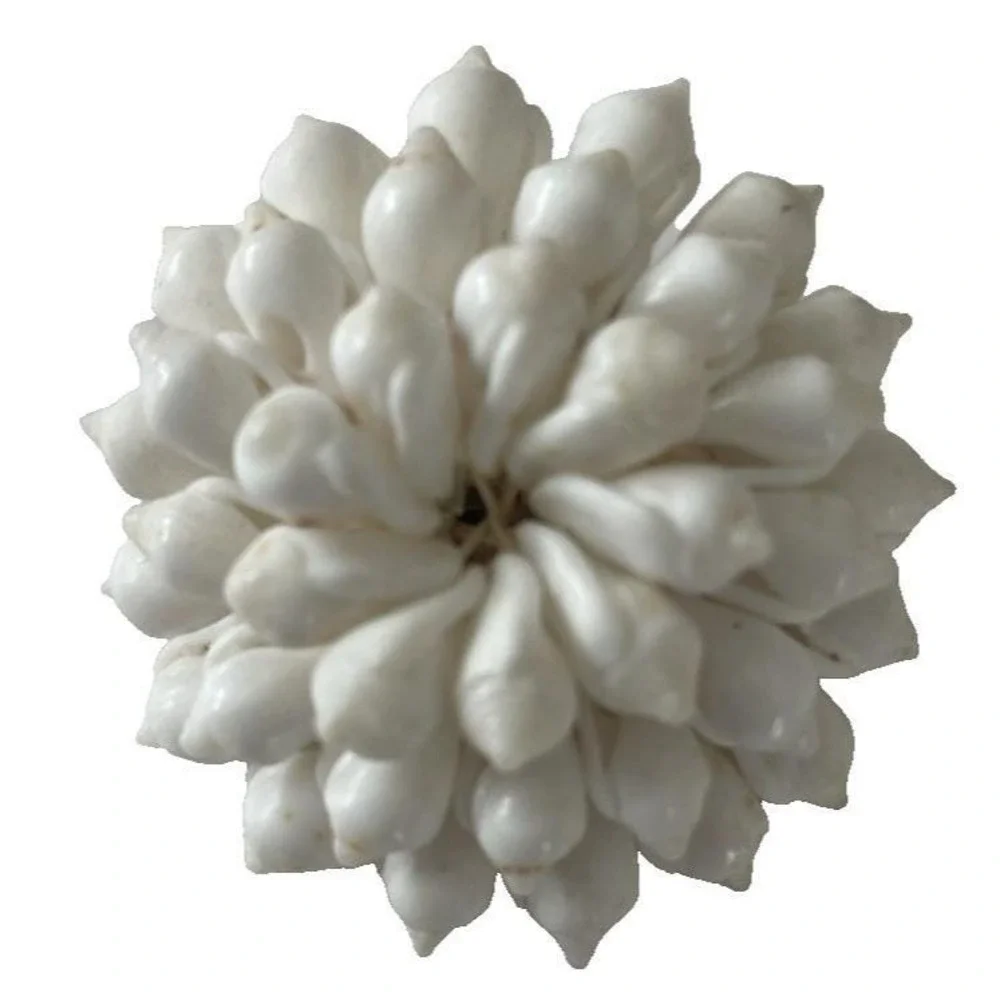 Cowrie Shell Brooch Pin Hand‎ Woven Flower Design White Straw Marshall Islands